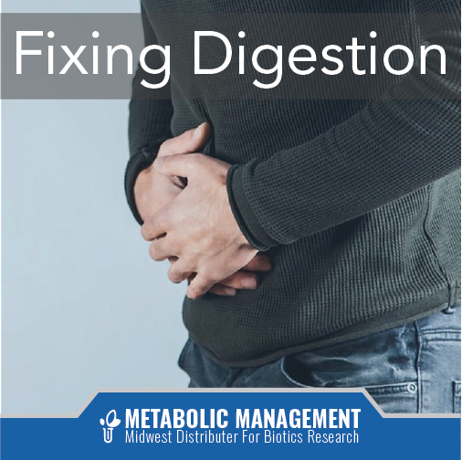 Fixing Digestion